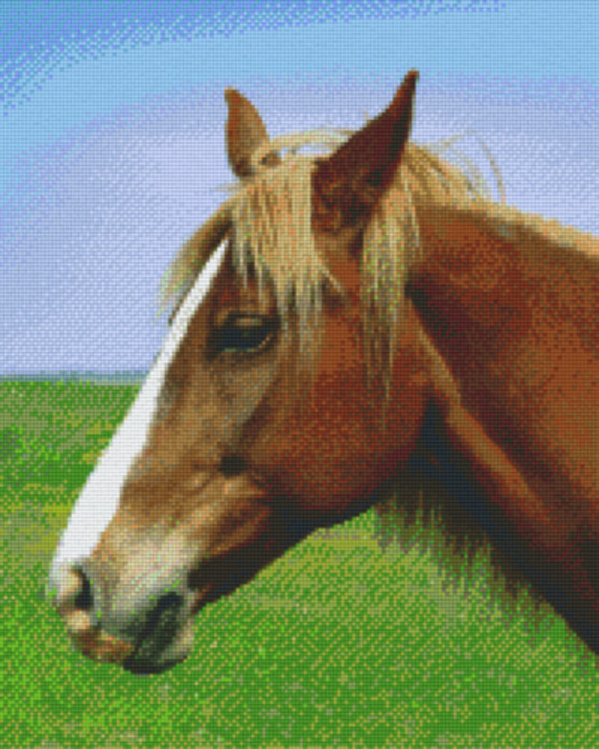 Horse Head Sixteen [16] Baseplate PixelHobby Mini-mosaic Art Kit image 0